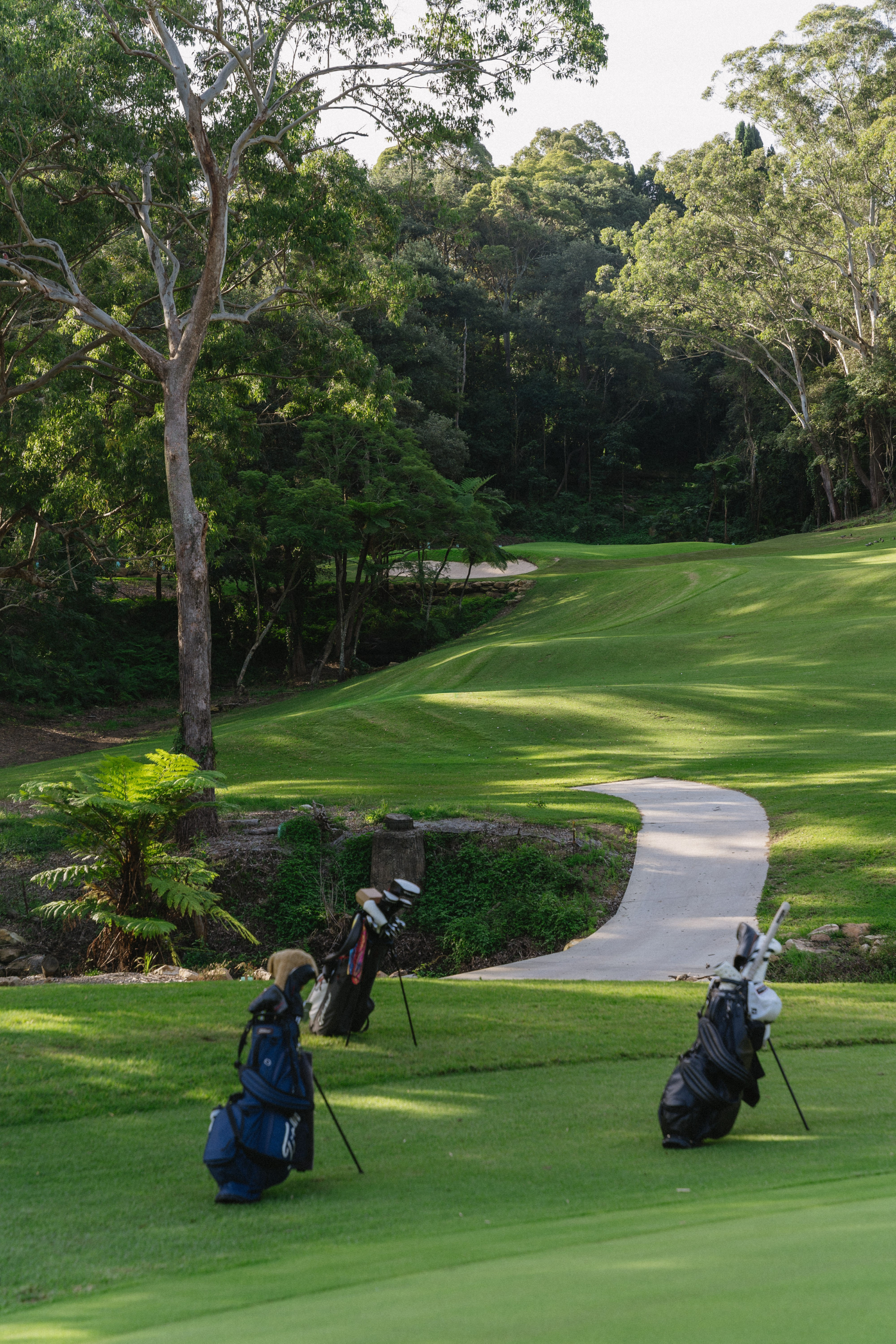 Newgreens Golf_portrait (20)