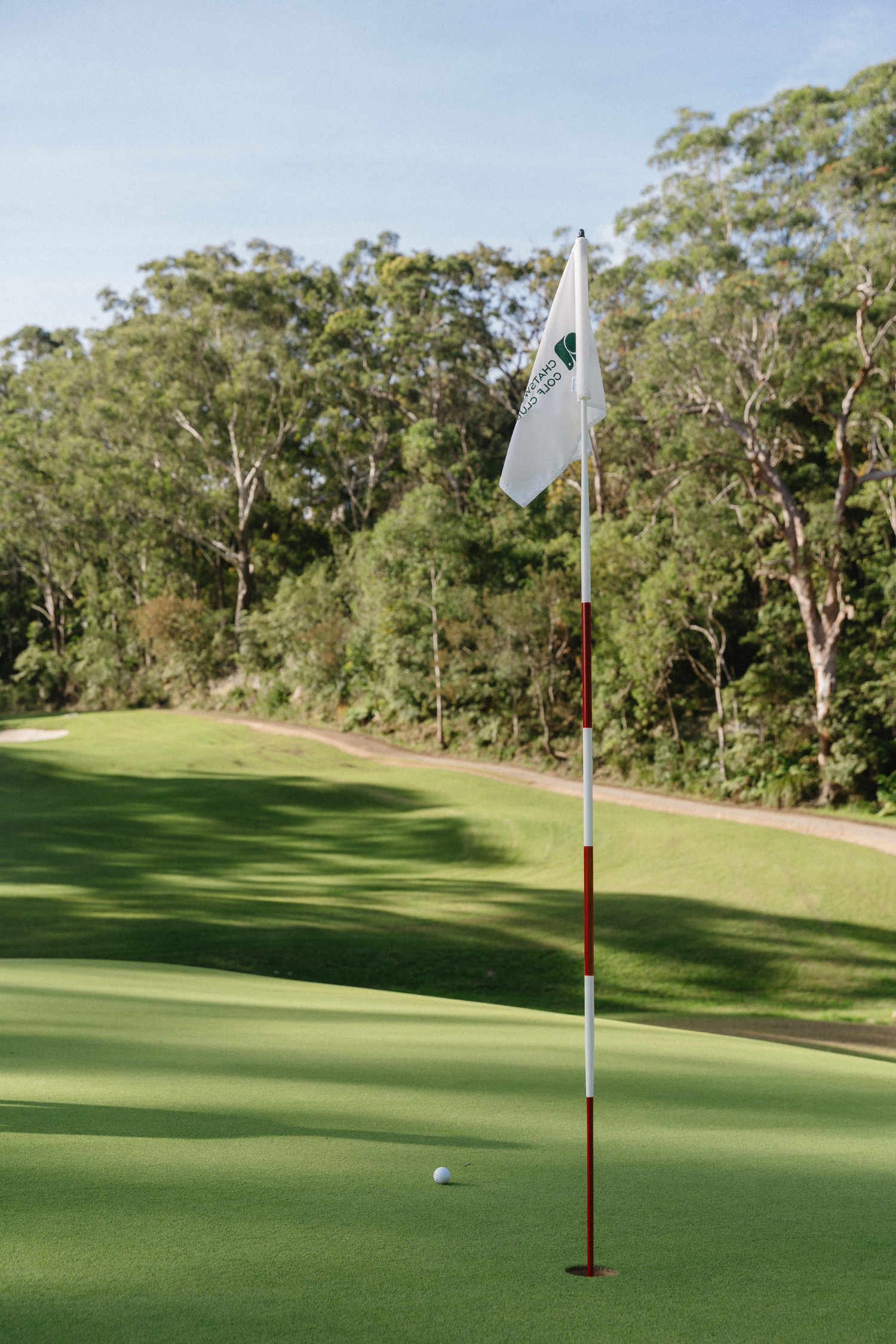 Newgreens Golf_portrait (23)